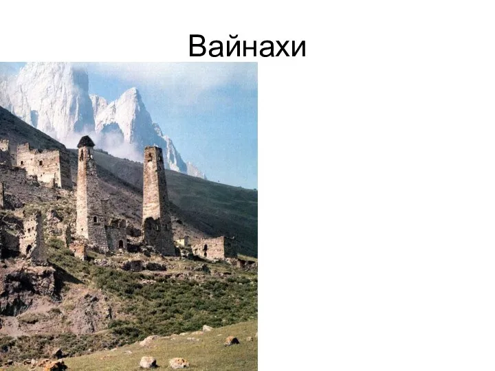 Вайнахи