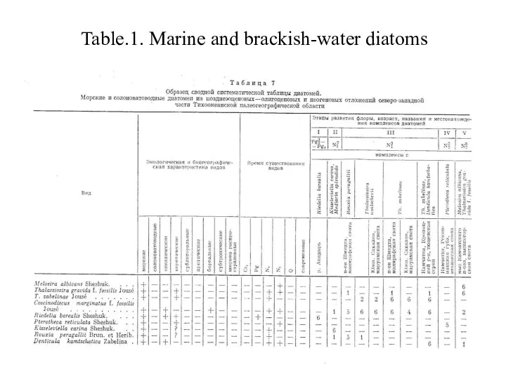 Table.1. Marine and brackish-water diatoms