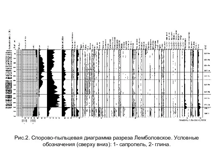 Рис.2. Спорово-пыльцевая диаграмма разреза Лемболовское. Условные обозначения (сверху вниз): 1- сапропель, 2- глина.