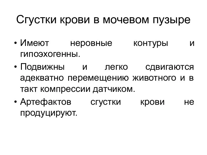 Сгустки крови в мочевом пузыре Имеют неровные контуры и гипоэхогенны. Подвижны