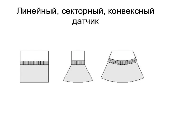 Линейный, секторный, конвексный датчик