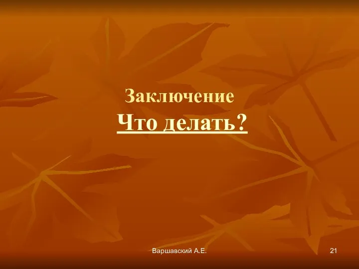 Варшавский А.Е. Заключение Что делать?