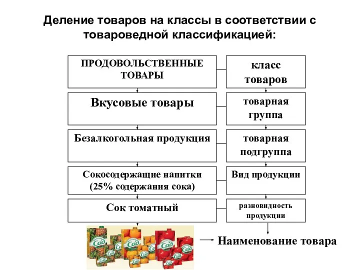 Деление товаров на классы в соответствии с товароведной классификацией: Наименование товара