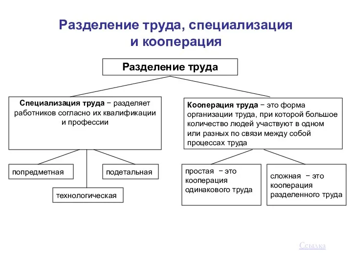 Разделение труда, специализация и кооперация Ссылка Разделение труда Специализация труда −