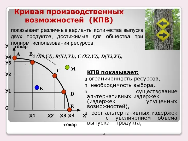 Кривая производственных возможностей (КПВ) показывает различные варианты количества выпуска двух продуктов,