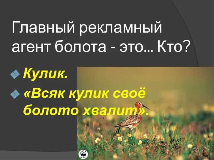 Главный рекламный агент болота - это... Кто? Кулик. «Всяк кулик своё болото хвалит».