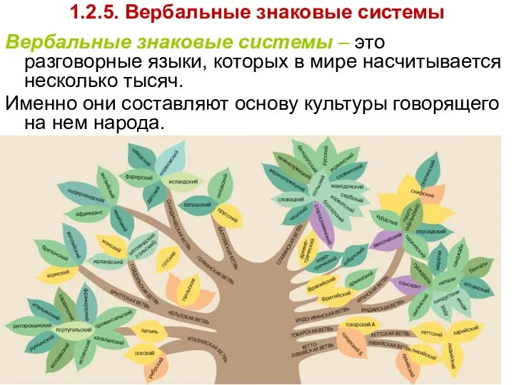 Вербальные знаковые системы – это разговорные языки, которых в мире насчитывается