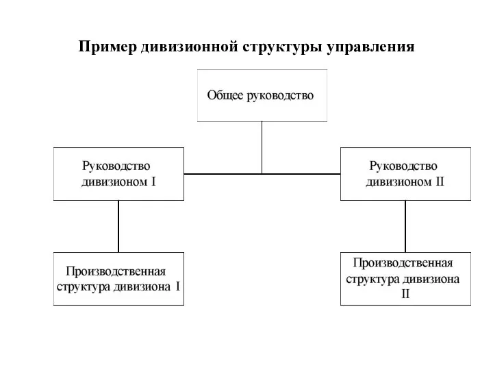 Пример дивизионной структуры управления