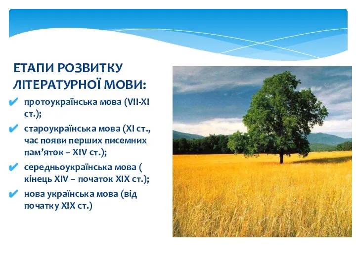 ЕТАПИ РОЗВИТКУ ЛІТЕРАТУРНОЇ МОВИ: протоукраїнська мова (VІІ-ХІ ст.); староукраїнська мова (ХІ