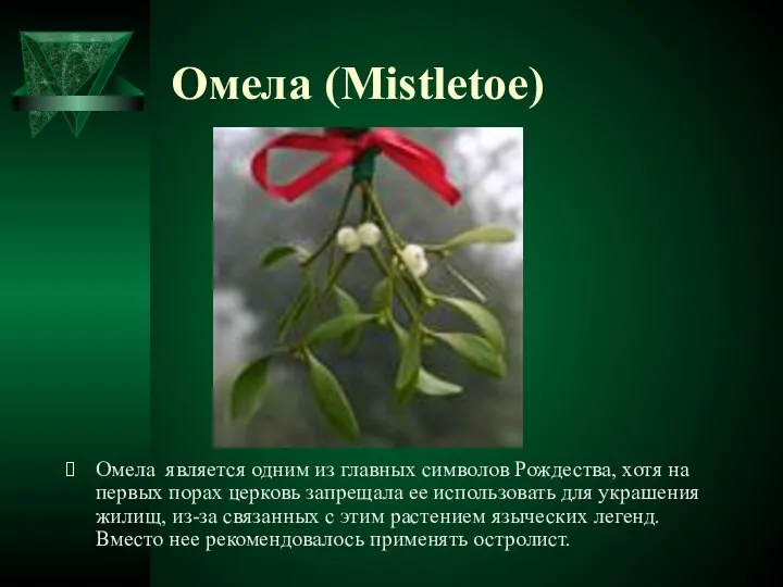 Омела (Mistletoe) Омела является одним из главных символов Рождества, хотя на