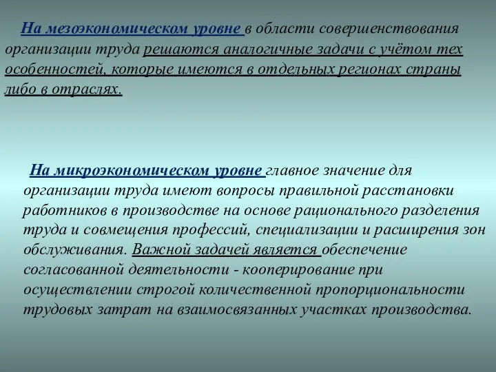 На мезоэкономическом уровне в области совершенствования организации труда решаются аналогичные задачи