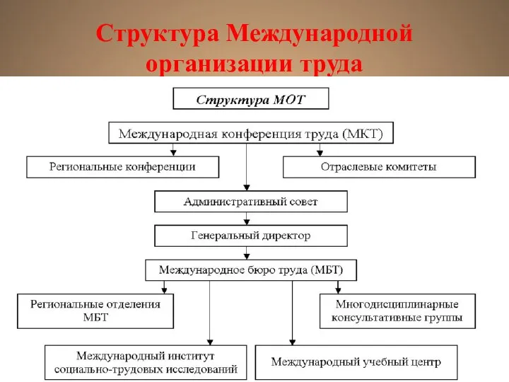 Структура Международной организации труда