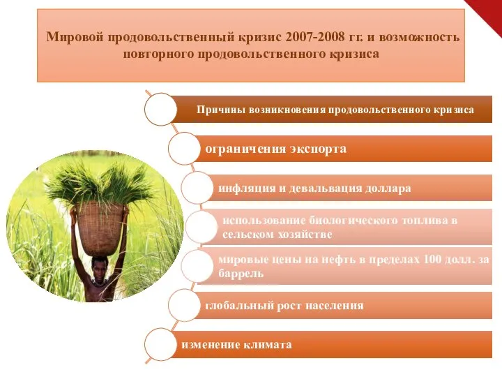 Мировой продовольственный кризис 2007-2008 гг. и возможность повторного продовольственного кризиса