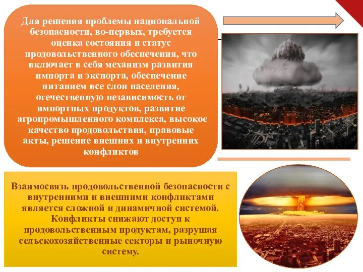 Взаимосвязь продовольственной безопасности с внутренними и внешними конфликтами является сложной и