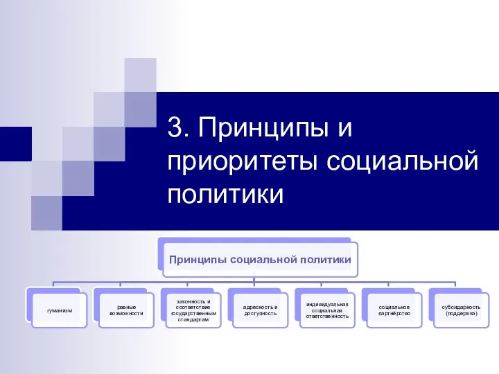 3. Принципы и приоритеты социальной политики