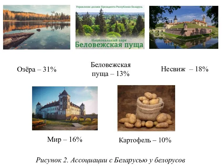 Беловежская пуща – 13% Озёра – 31% Несвиж – 18% Мир