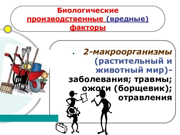 Биологические производственные (вредные) факторы 2-макроорганизмы (растительный и животный мир)- заболевания; травмы; ожоги (борщевик); отравления