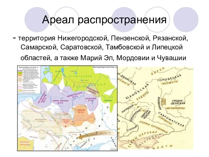 Ареал распространения - территория Нижегородской, Пензенской, Рязанской, Самарской, Саратовской, Тамбовской и