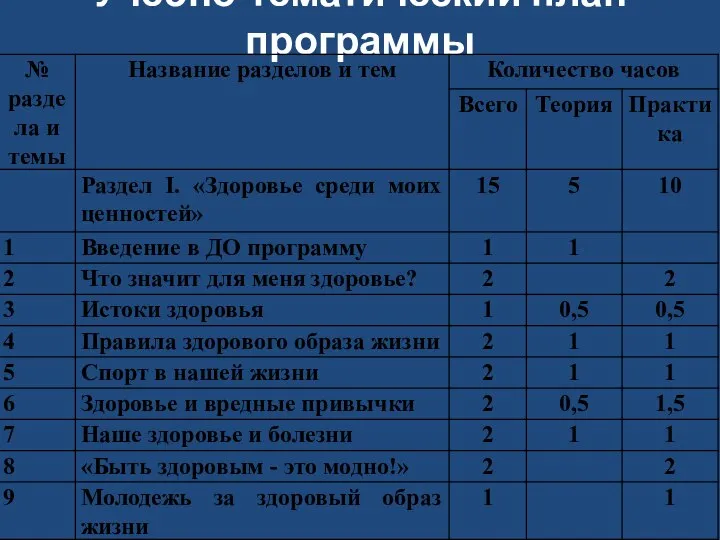 Учебно-тематический план программы