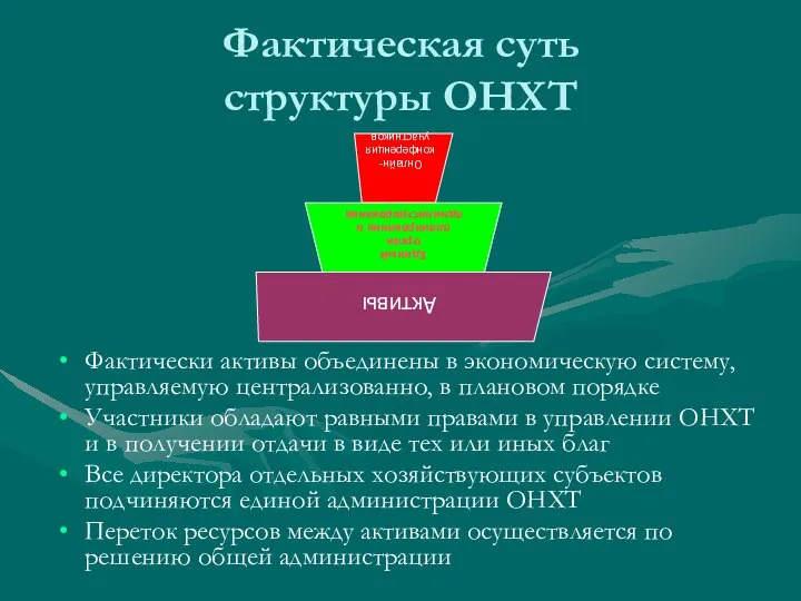 Фактическая суть структуры ОНХТ Фактически активы объединены в экономическую систему, управляемую