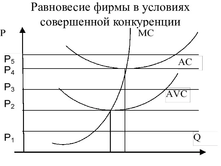 Равновесие фирмы в условиях совершенной конкуренции