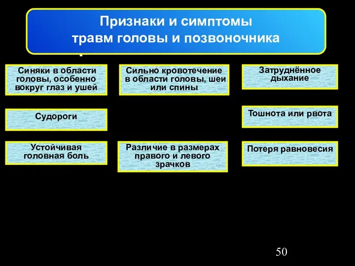 Обзор Синяки в области головы, особенно вокруг глаз и ушей Затруднённое