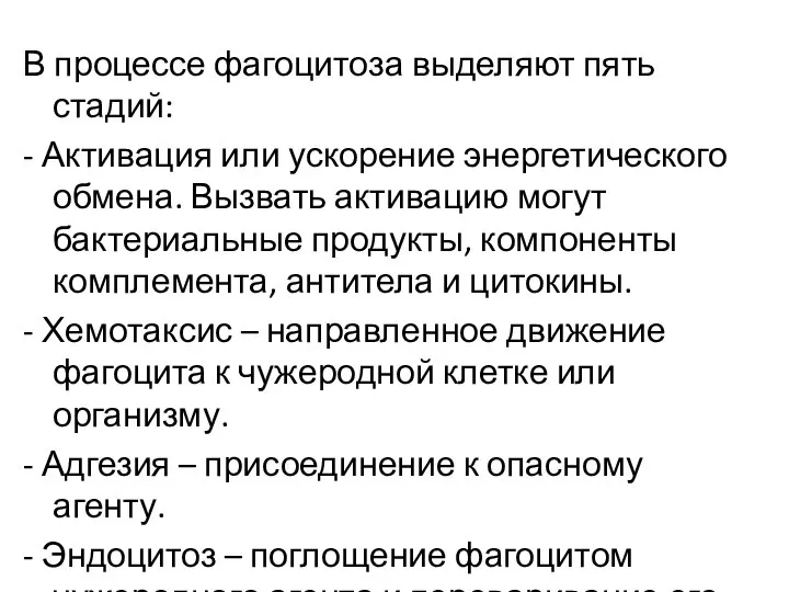 В процессе фагоцитоза выделяют пять стадий: - Активация или ускорение энергетического