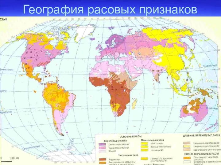 География расовых признаков