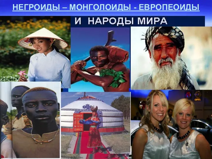 НЕГРОИДЫ – МОНГОЛОИДЫ - ЕВРОПЕОИДЫ