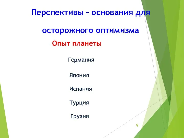 Перспективы – основания для осторожного оптимизма Опыт планеты Германия Япония Испания Турция Грузия