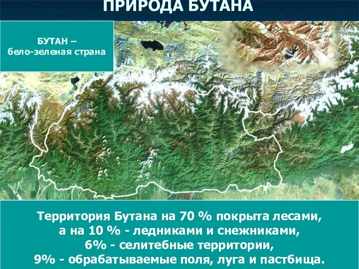 ПРИРОДА БУТАНА Территория Бутана на 70 % покрыта лесами, а на