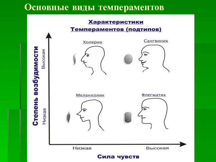 Основные виды темпераментов