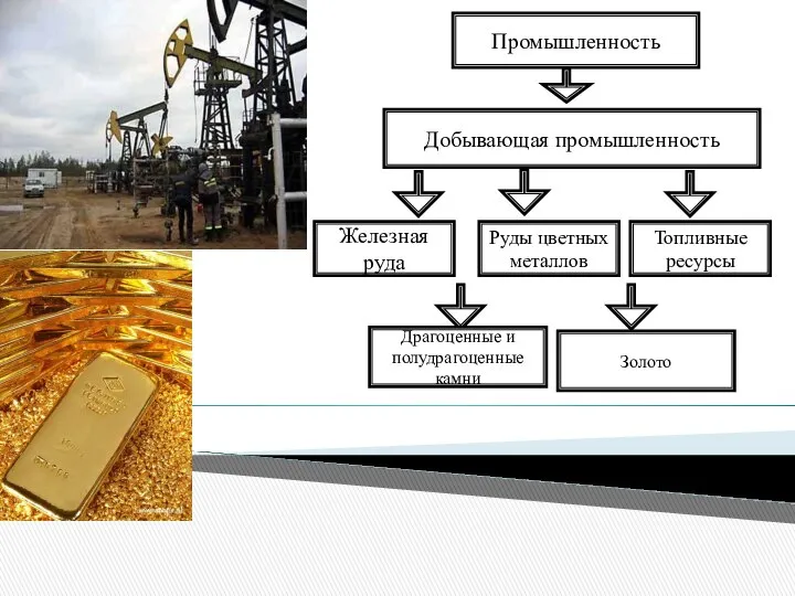 Промышленность Добывающая промышленность Железная руда Руды цветных металлов Топливные ресурсы Драгоценные и полудрагоценные камни Золото