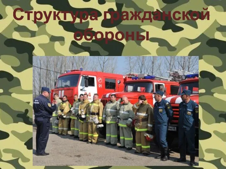 Структура гражданской обороны