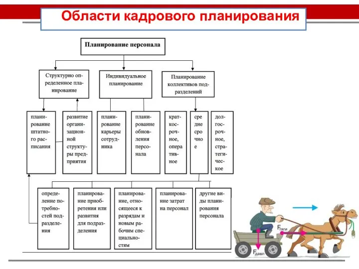 Области кадрового планирования