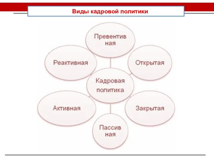 Виды кадровой политики