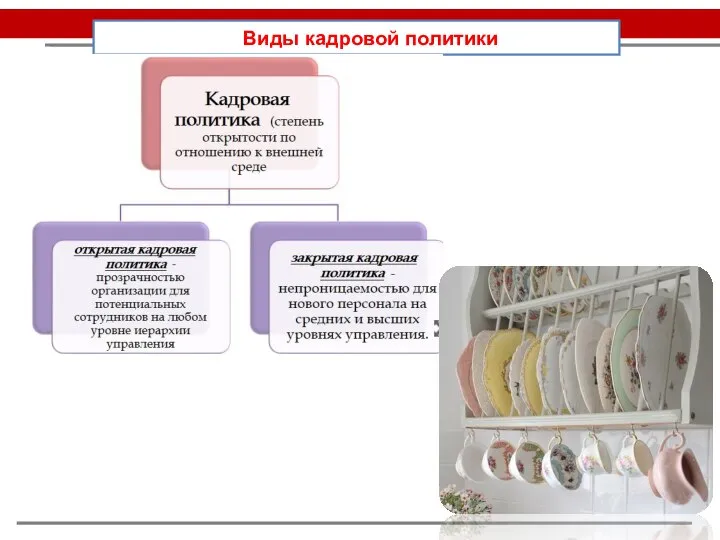 Виды кадровой политики