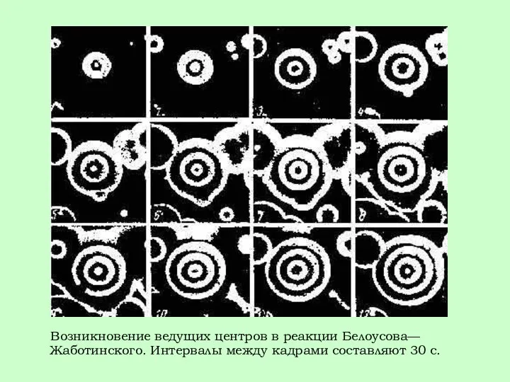 Возникновение ведущих центров в реакции Белоусова—Жаботинского. Интервалы между кадрами составляют 30 с.