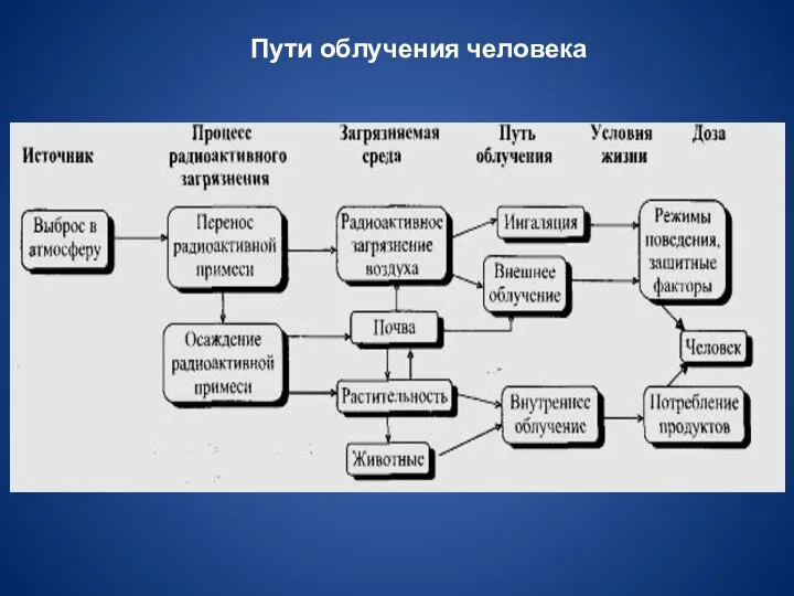 Пути облучения человека