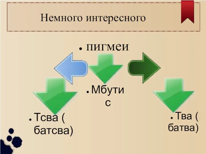 Немного интересного пигмеи Мбутис Тва ( батва) Тсва ( батсва)