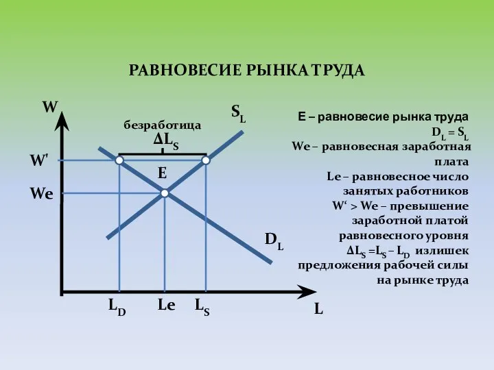 РАВНОВЕСИЕ РЫНКА ТРУДА W L DL SL E We Le W'