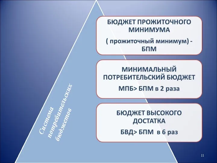 Система потребительских бюджетов