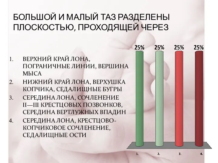 БОЛЬШОЙ И МАЛЫЙ ТАЗ РАЗДЕЛЕНЫ ПЛОСКОСТЬЮ, ПРОХОДЯЩЕЙ ЧЕРЕЗ ВЕРХНИЙ КРАЙ ЛОНА,