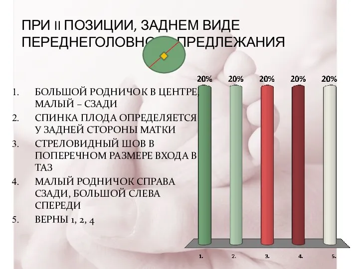 ПРИ II ПОЗИЦИИ, ЗАДНЕМ ВИДЕ ПЕРЕДНЕГОЛОВНОГО ПРЕДЛЕЖАНИЯ БОЛЬШОЙ РОДНИЧОК В ЦЕНТРЕ,