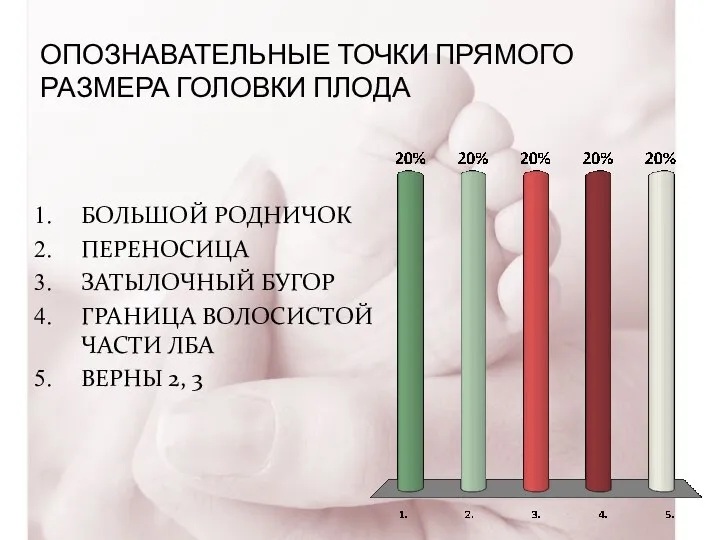 ОПОЗНАВАТЕЛЬНЫЕ ТОЧКИ ПРЯМОГО РАЗМЕРА ГОЛОВКИ ПЛОДА БОЛЬШОЙ РОДНИЧОК ПЕРЕНОСИЦА ЗАТЫЛОЧНЫЙ БУГОР