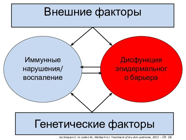 Внешние факторы Генетические факторы Иммунные нарушения/ воспаление Дисфункция эпидермального барьера по