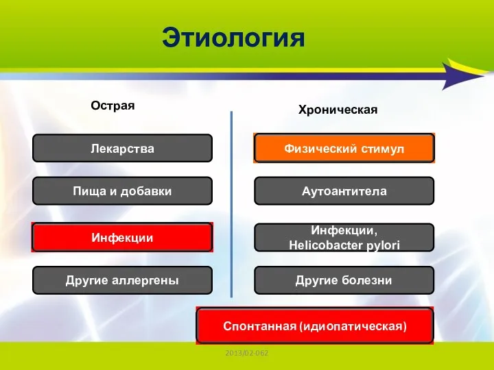 2013/02-062 Этиология Острая Хроническая Лекарства Пища и добавки Другие аллергены Аутоантитела Инфекции, Helicobacter pylori Другие болезни