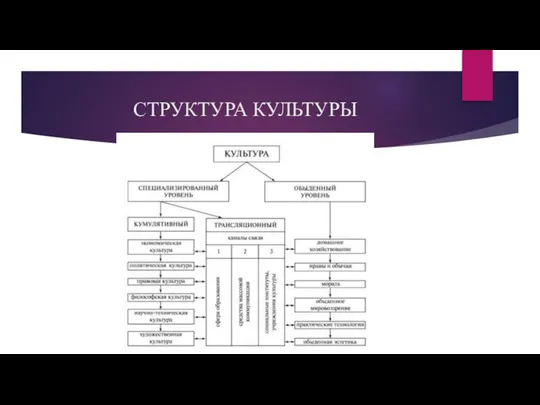 СТРУКТУРА КУЛЬТУРЫ