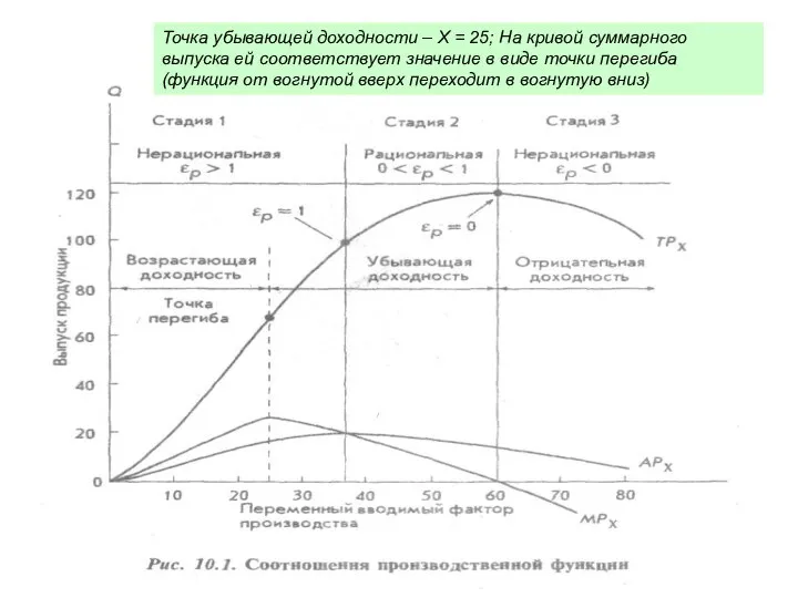 Предельный продукт возрастает в определенном интервале; после определенной точки на кривой