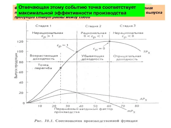 Когда кривая общего выпуска продукции достигает своего максимума, величина предельного продукта